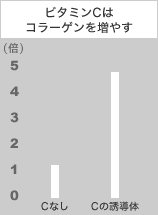 ビタミンＣによるコラーゲン合成促進表