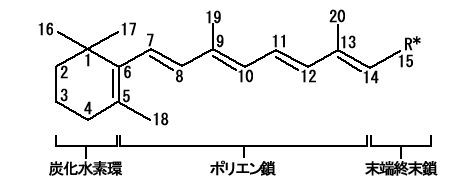 レチノイド基本構造